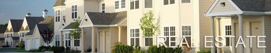 Real estate business